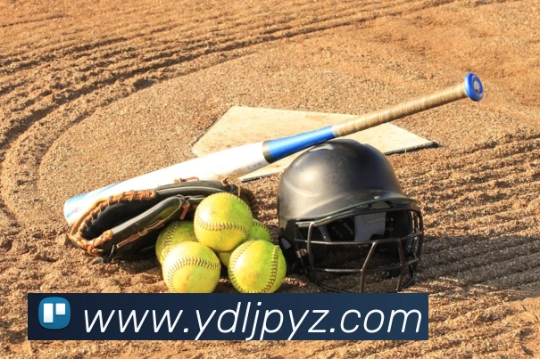 未来规划
